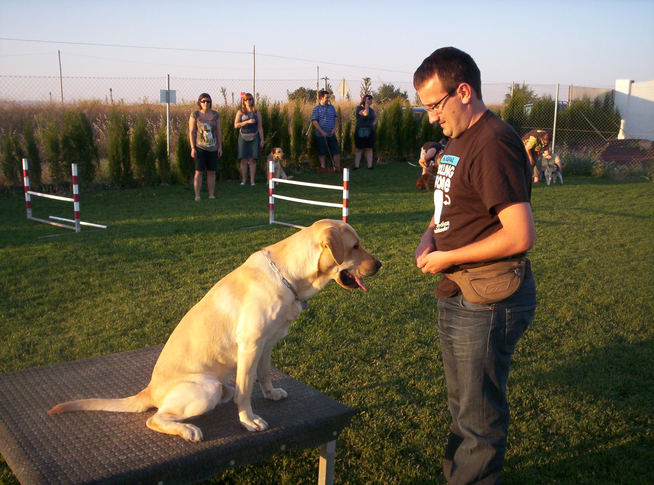 Perro durante una actividad de adiestramiento