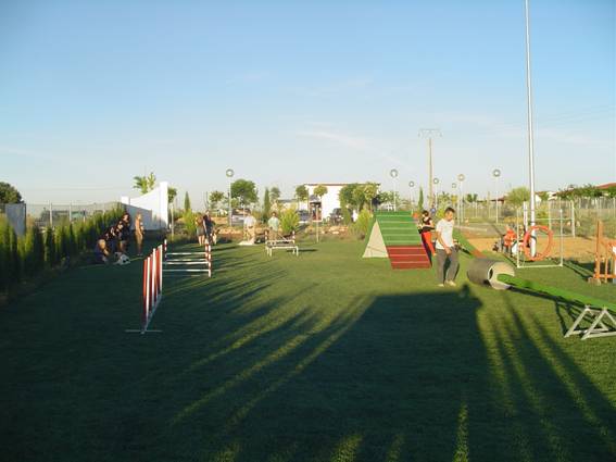 Clase de agility